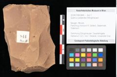 Foto (Objekt + Etikett) von Quercus palaeoilex Ettingshausen (NHMW-GEO-2024-0188-0844)